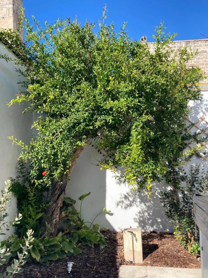 Il Palmento B&B Palmariggi Zewnętrze zdjęcie